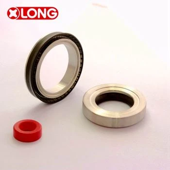 Rotary Lip Seal