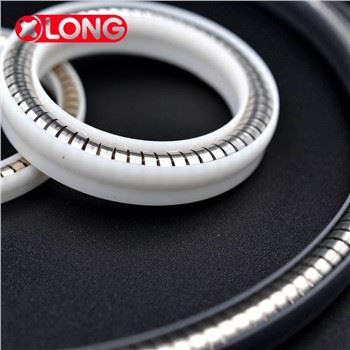 Teflon Spring Strömförande Radial Lip Seals