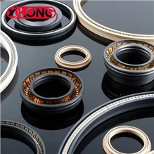 Teflon Fjäder Energized Valve Lip Seals